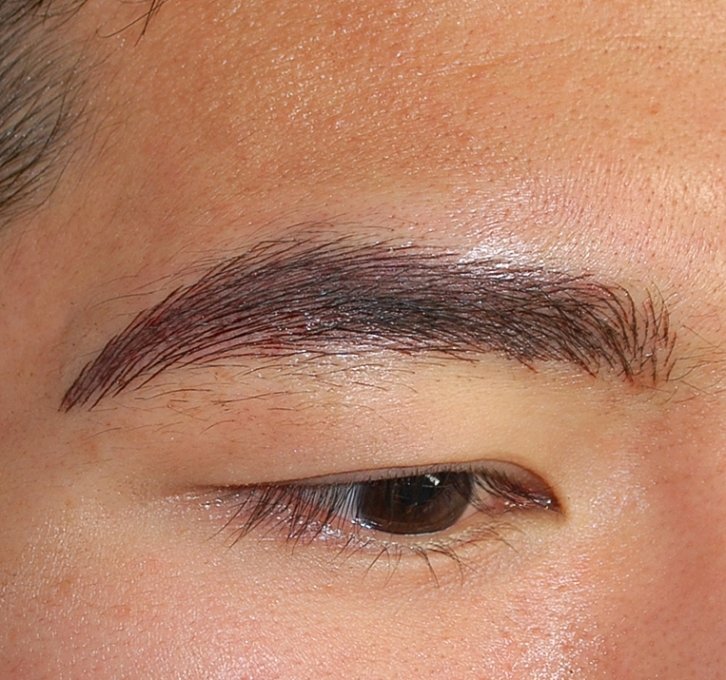 Opleiding male eyebrows wenkbrauwen man